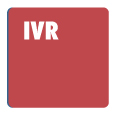 Custom IVR